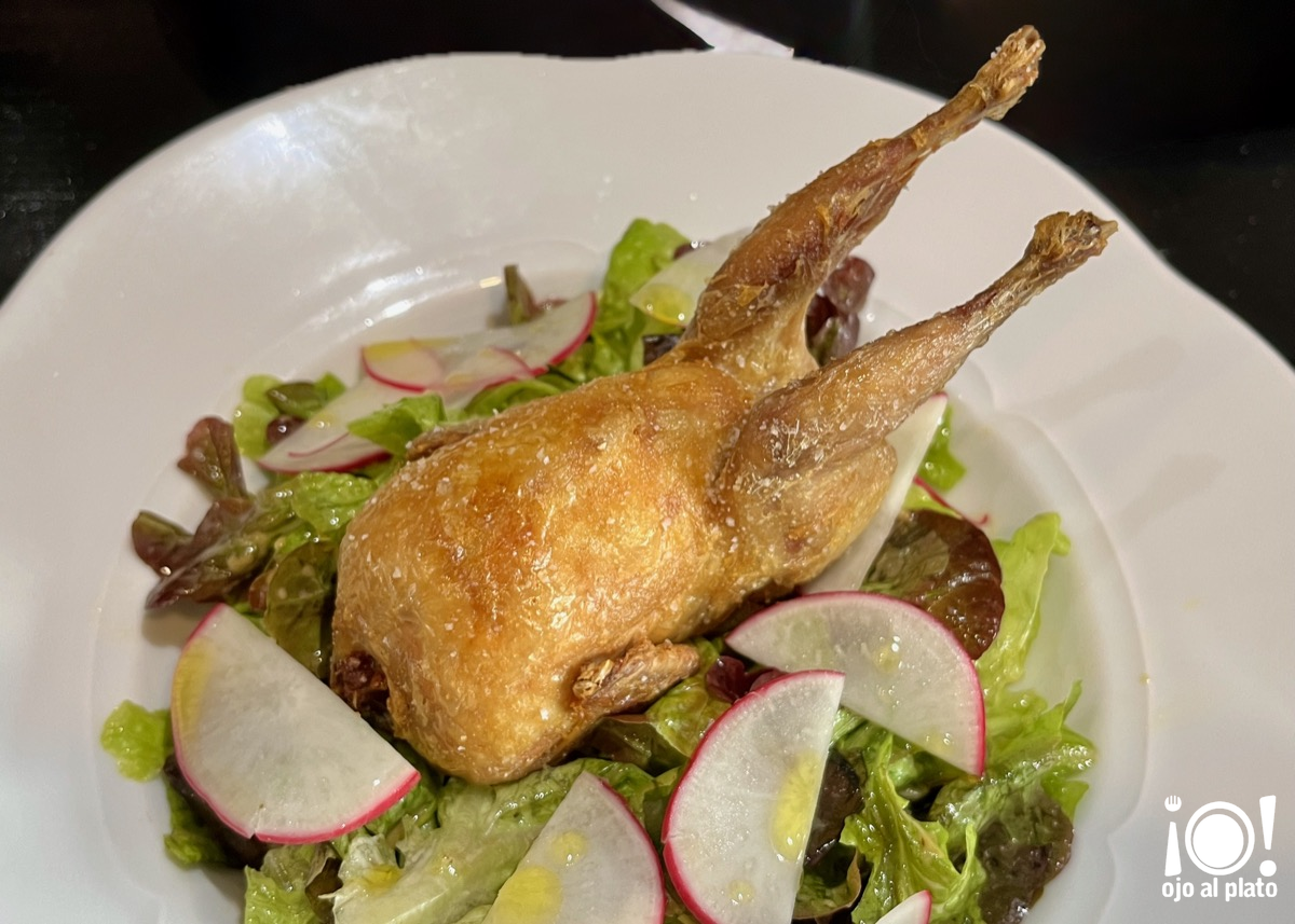 04_codorniz_boira_25_10 04_codorniz_boira_25_10