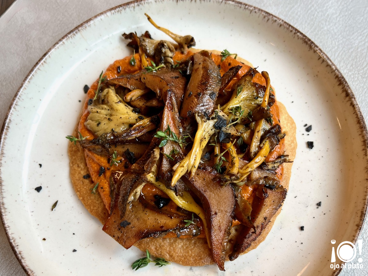 02_coca_cocleque_25_12 02_coca_cocleque_25_12