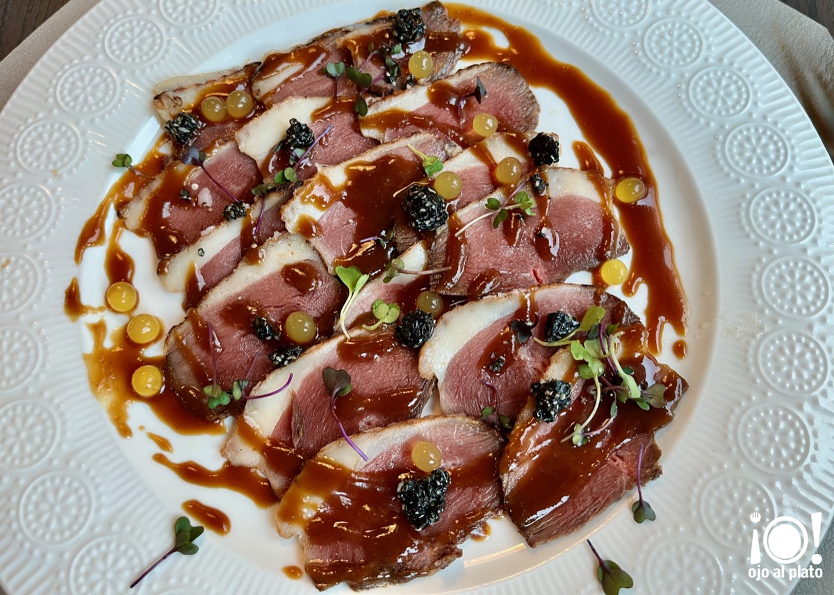 05_pato_cocleque_25_12 05_pato_cocleque_25_12