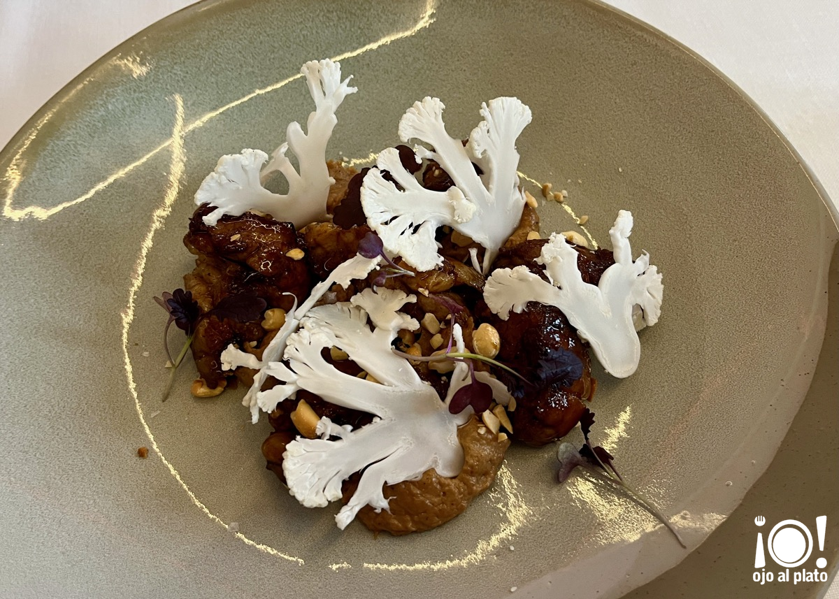 05_molejas_entrevins_26_02 05_molejas_entrevins_26_02