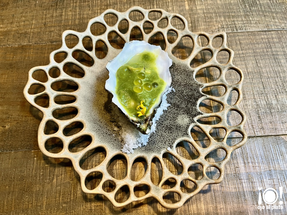 04_ostra_farigola_26_01