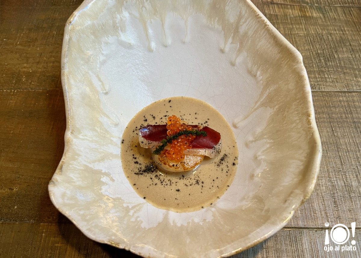 12_vieira_farigola_26_01