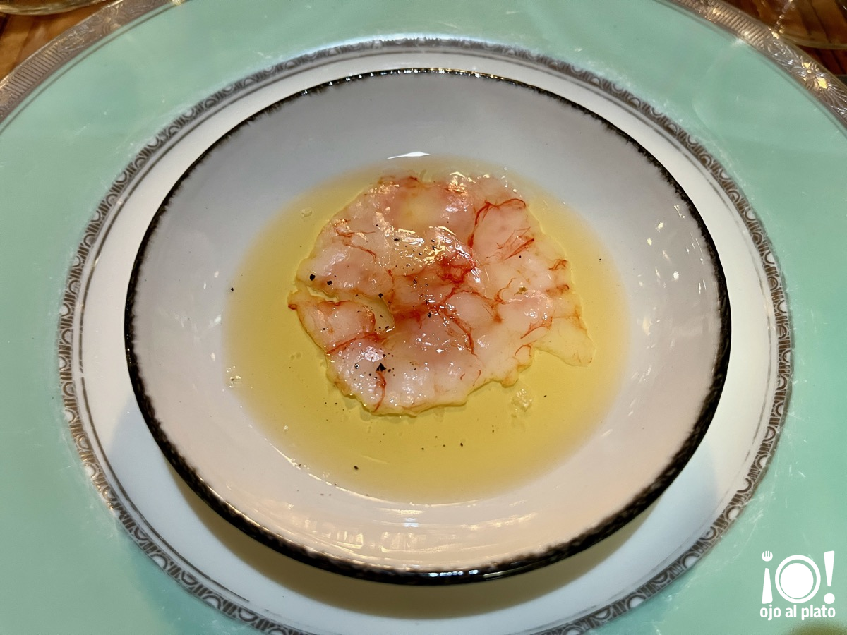 02_gamba_AQ_26_03 02_gamba_AQ_26_03