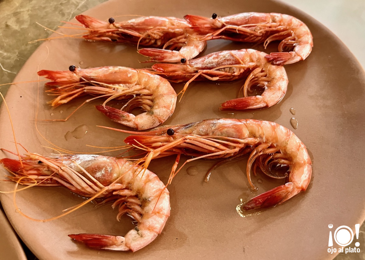 04_gambas_terra_26_04 04_gambas_terra_26_04