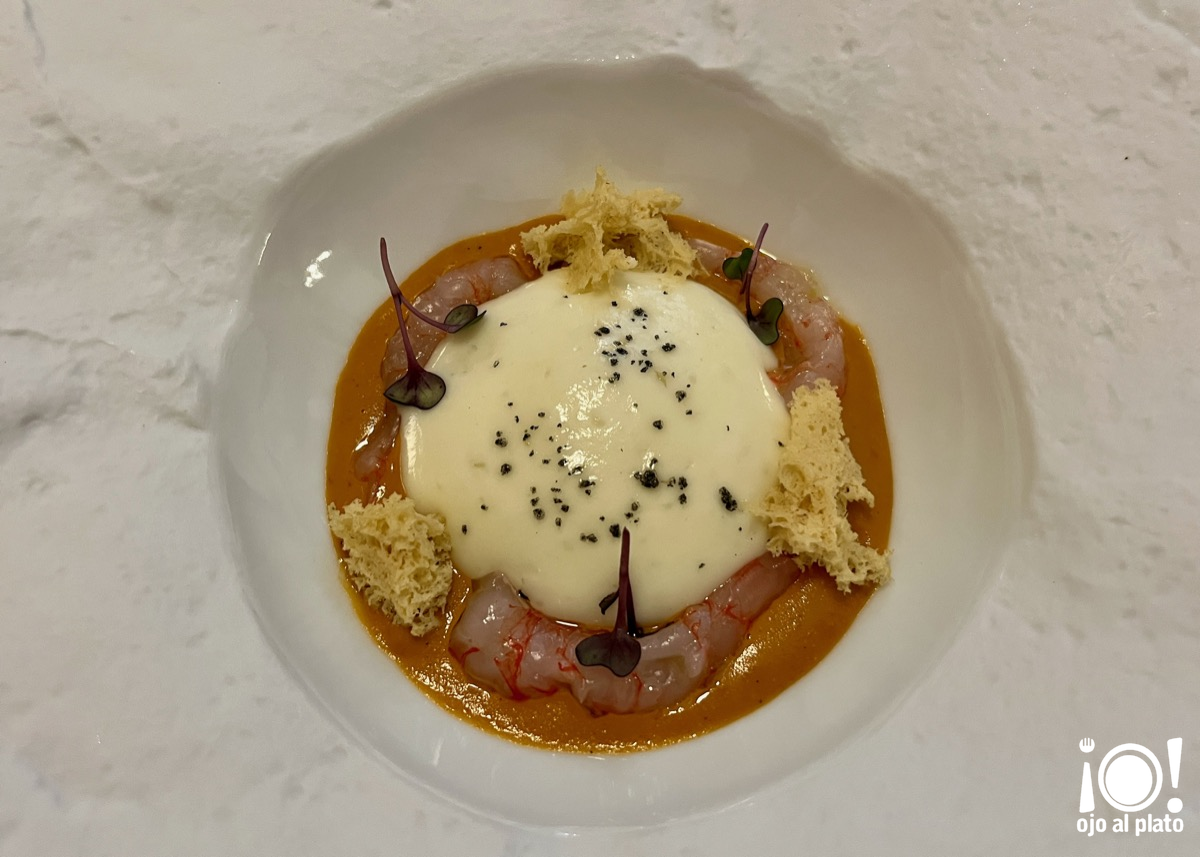 06_romesco_terrat_26_03 06_romesco_terrat_26_03