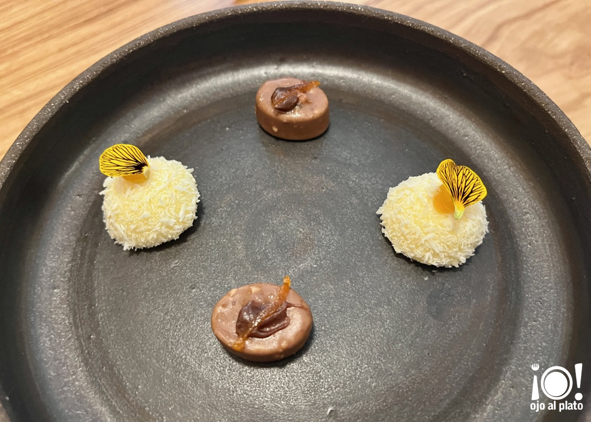 13_petit_terrat_26_03 13_petit_terrat_26_03