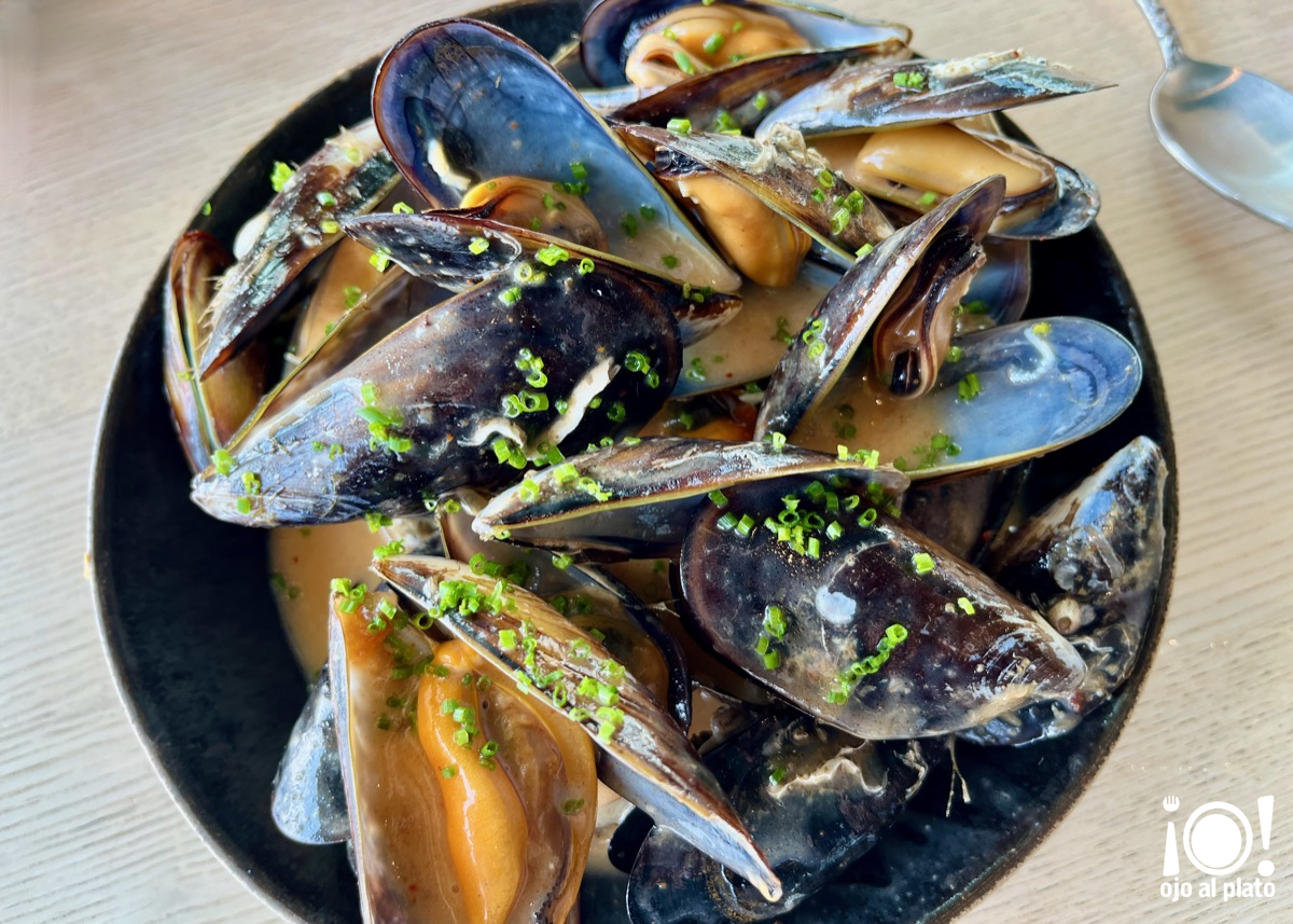 05_mejillones_5mares_26_07 05_mejillones_5mares_26_07