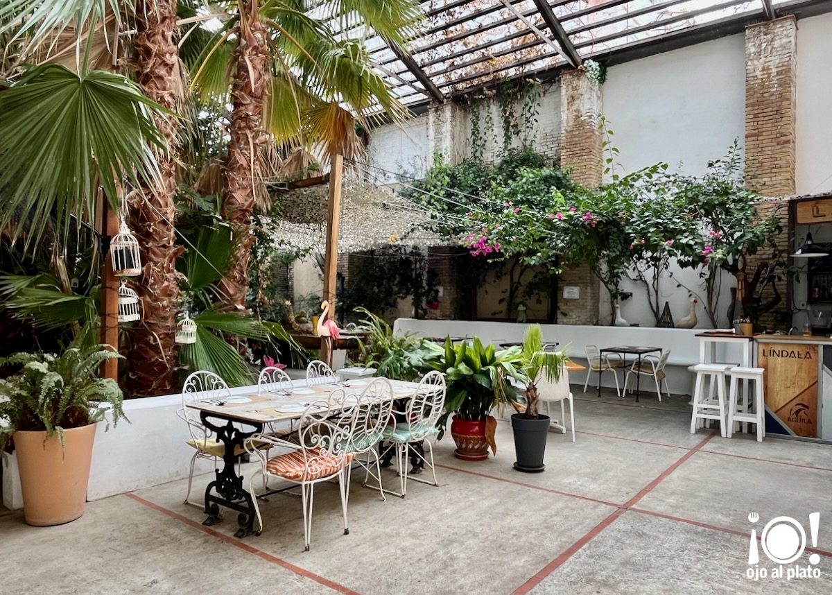 15_terraza2_lindala_26_09 15_terraza2_lindala_26_09