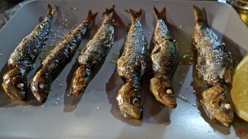 04_sardinas