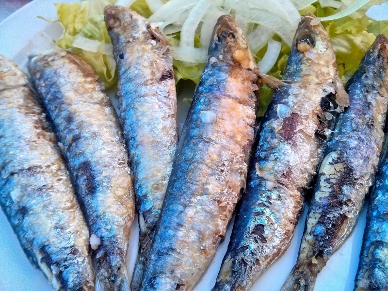 05_sardinas